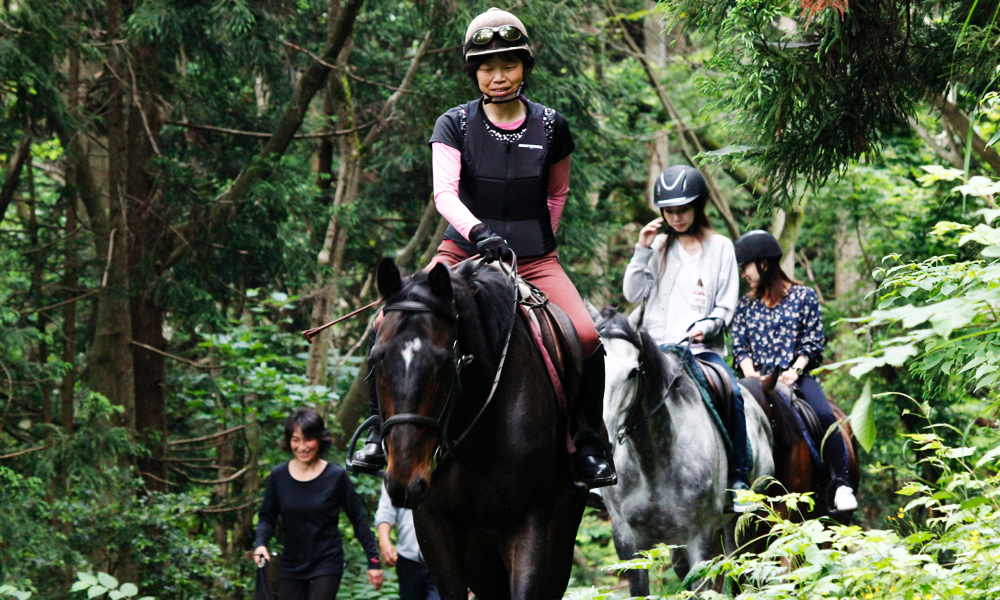 初心者 山道散歩乗馬体験