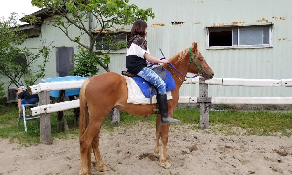 乗馬・外周乗馬