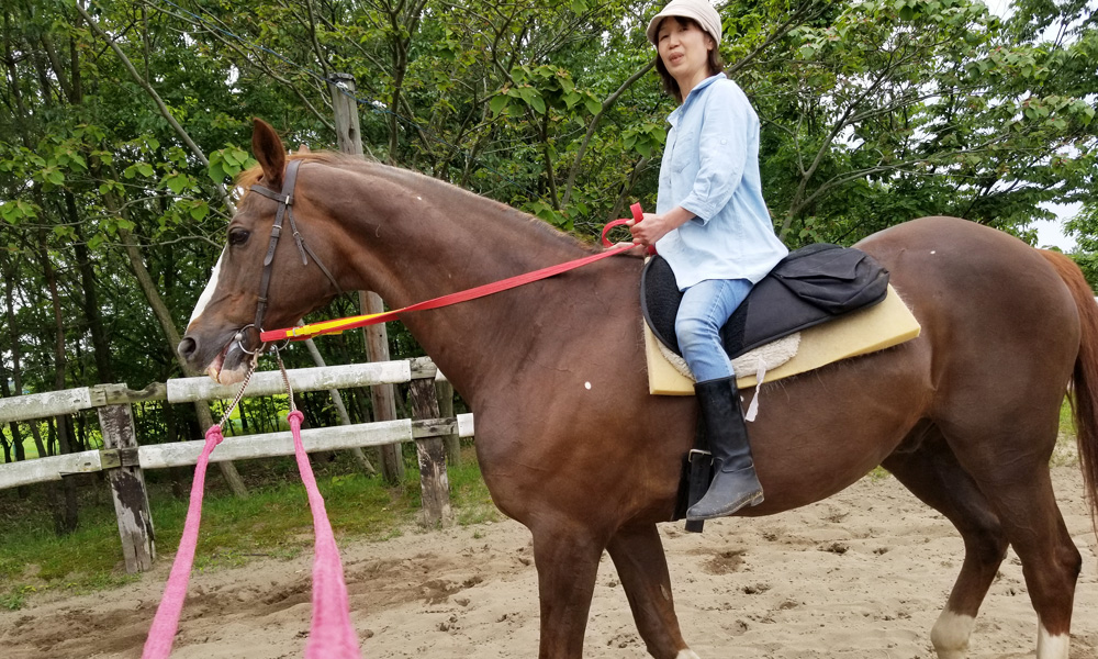 乗馬・外周乗馬