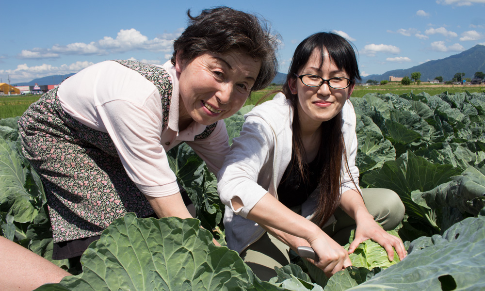 旬な野菜の収穫体験【野菜持ち帰りパック1箱（小）】【ペア】