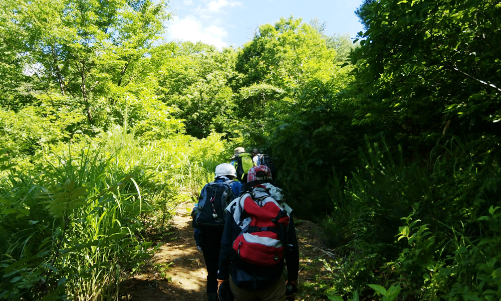 竹籠の材料調達登山と一輪挿しづくり体験