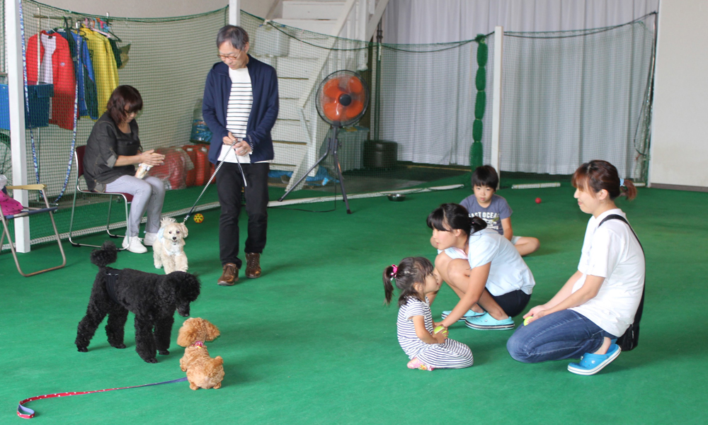 犬のしつけ体験 パピークラス