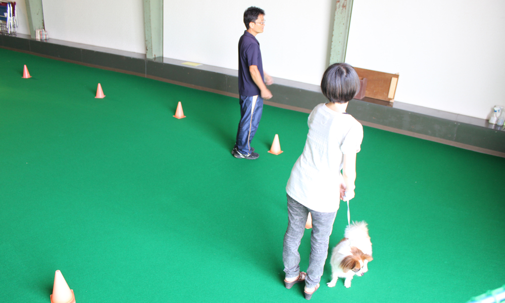 犬のしつけ体験 お悩み相談&アドバイスレッスン