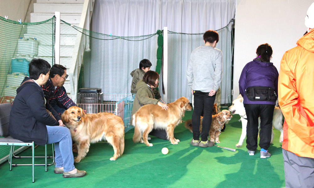 犬のしつけ体験 お悩み相談&アドバイスレッスン