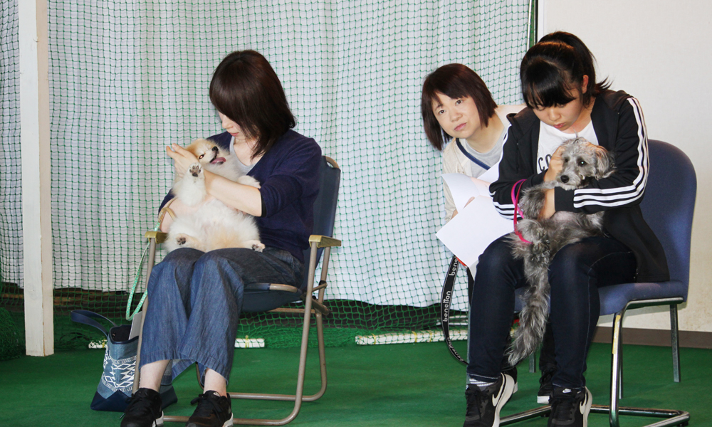 犬のしつけ体験 初級お試し体験【3回】