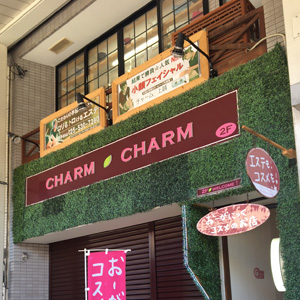CHARM CHARM